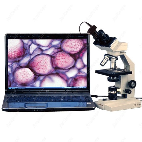 Amscope Microscope Compound 40X-1000X - AmScope B100シリーズ生物用双眼複合顕微鏡 40X-1000X+ LEDと5MP USBデジタルカメラ付き