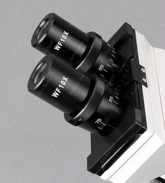 AmScope B100シリーズ生物用双眼複合顕微鏡 40X - Amscope Microscope Compound 40X-1000X のレビューと価格