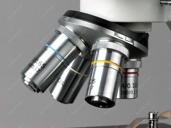 AmScope B100シリーズ生物用双眼複合顕微鏡 40X - Amscope Microscope Compound 40X-1000X のレビューと価格